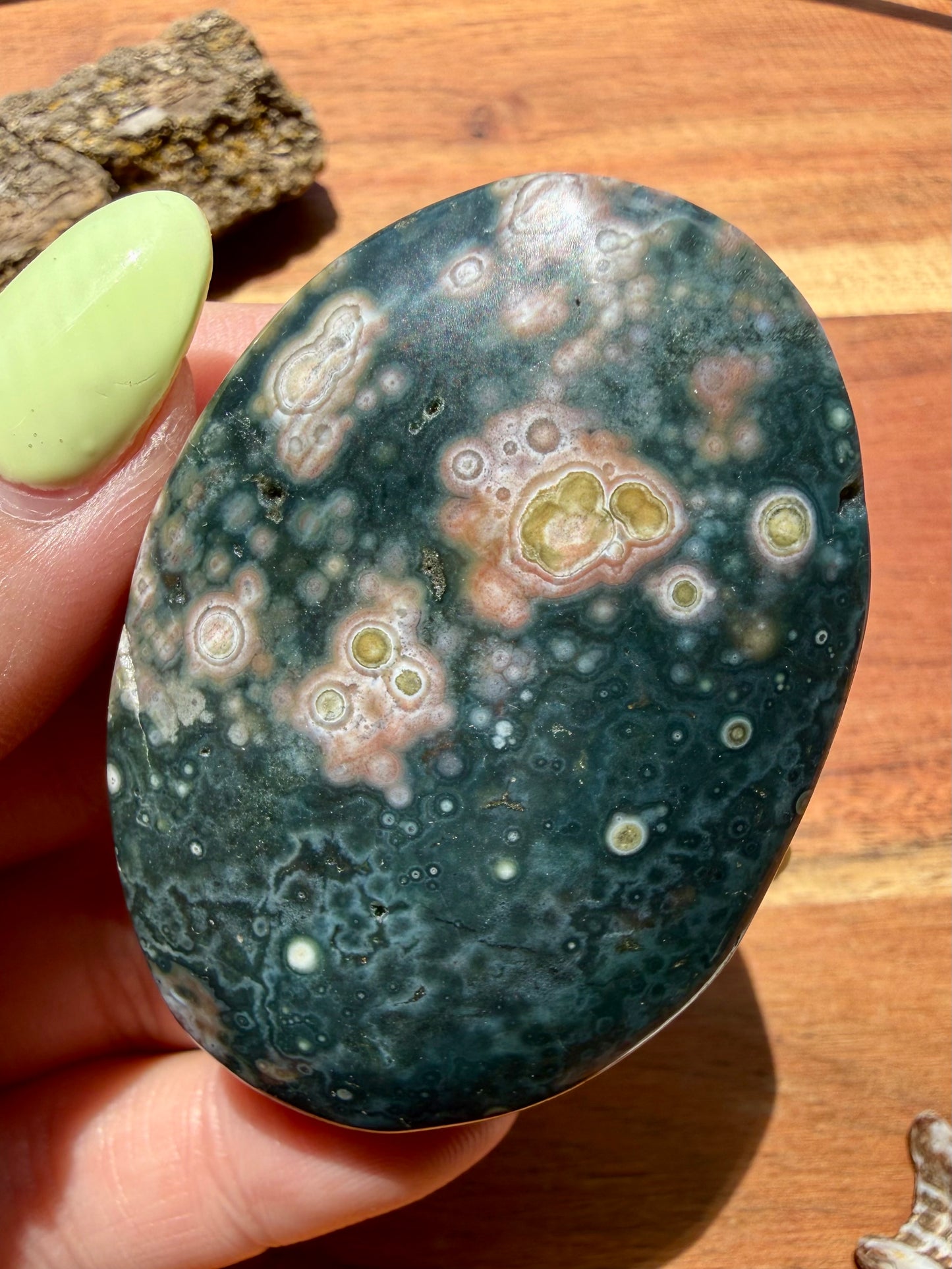 OLD STOCK OCEAN JASPER PALM STONE