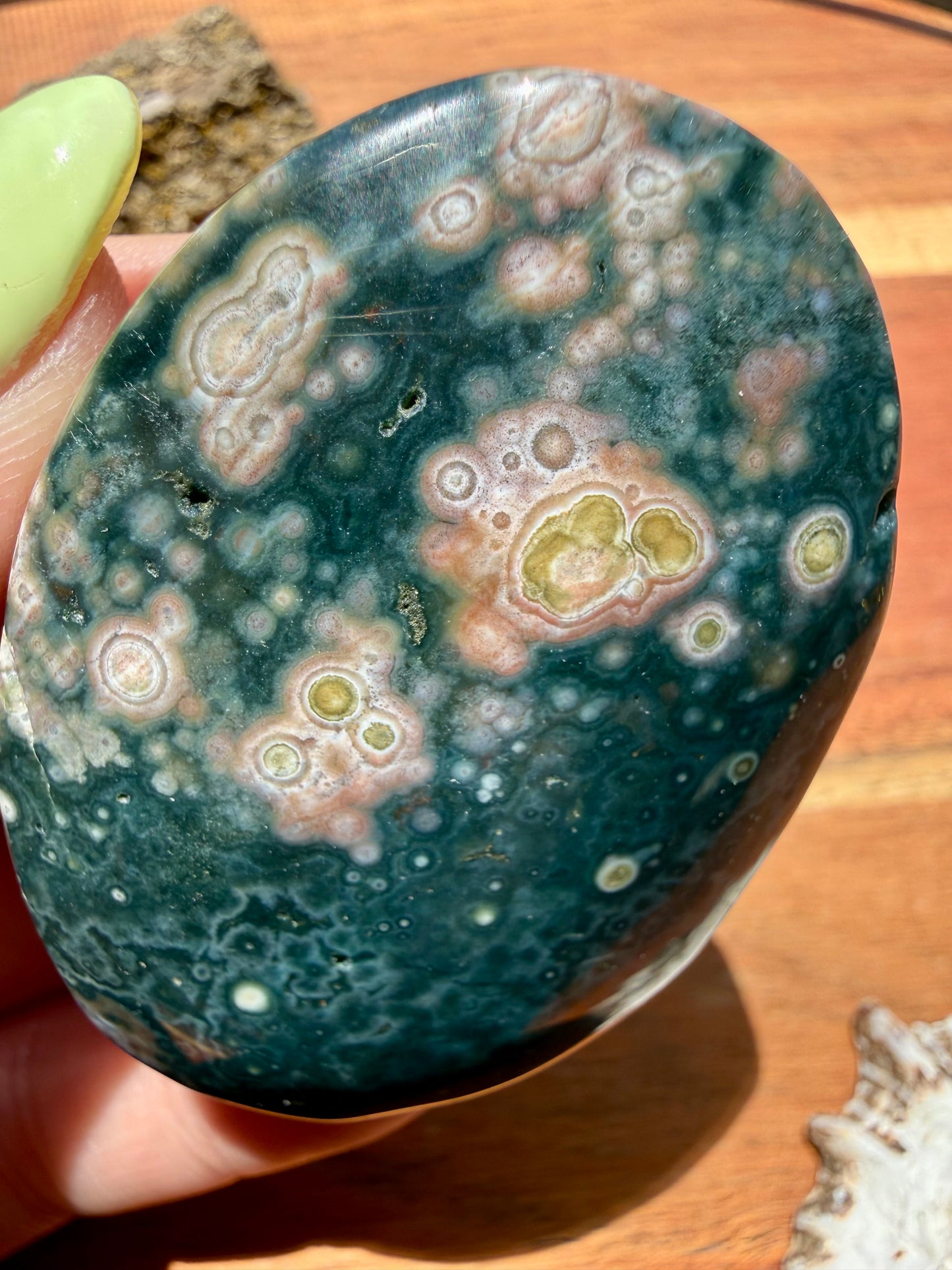 OLD STOCK OCEAN JASPER PALM STONE