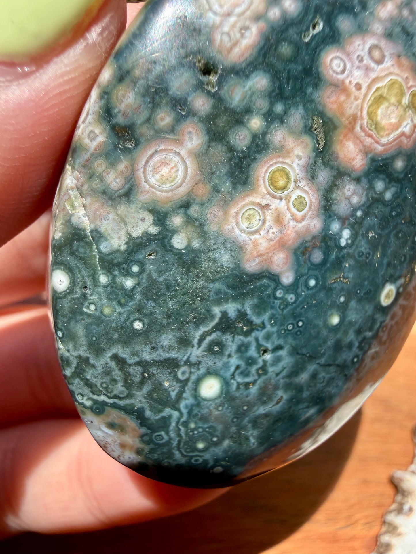 OLD STOCK OCEAN JASPER PALM STONE