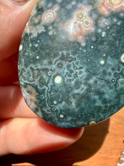 OLD STOCK OCEAN JASPER PALM STONE