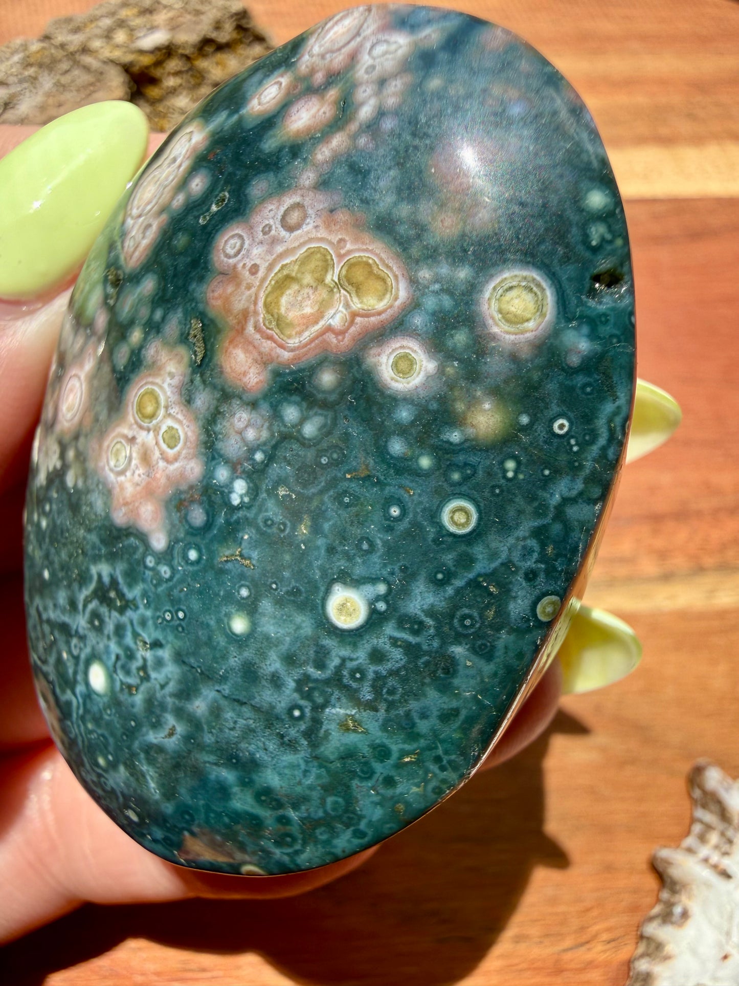 OLD STOCK OCEAN JASPER PALM STONE