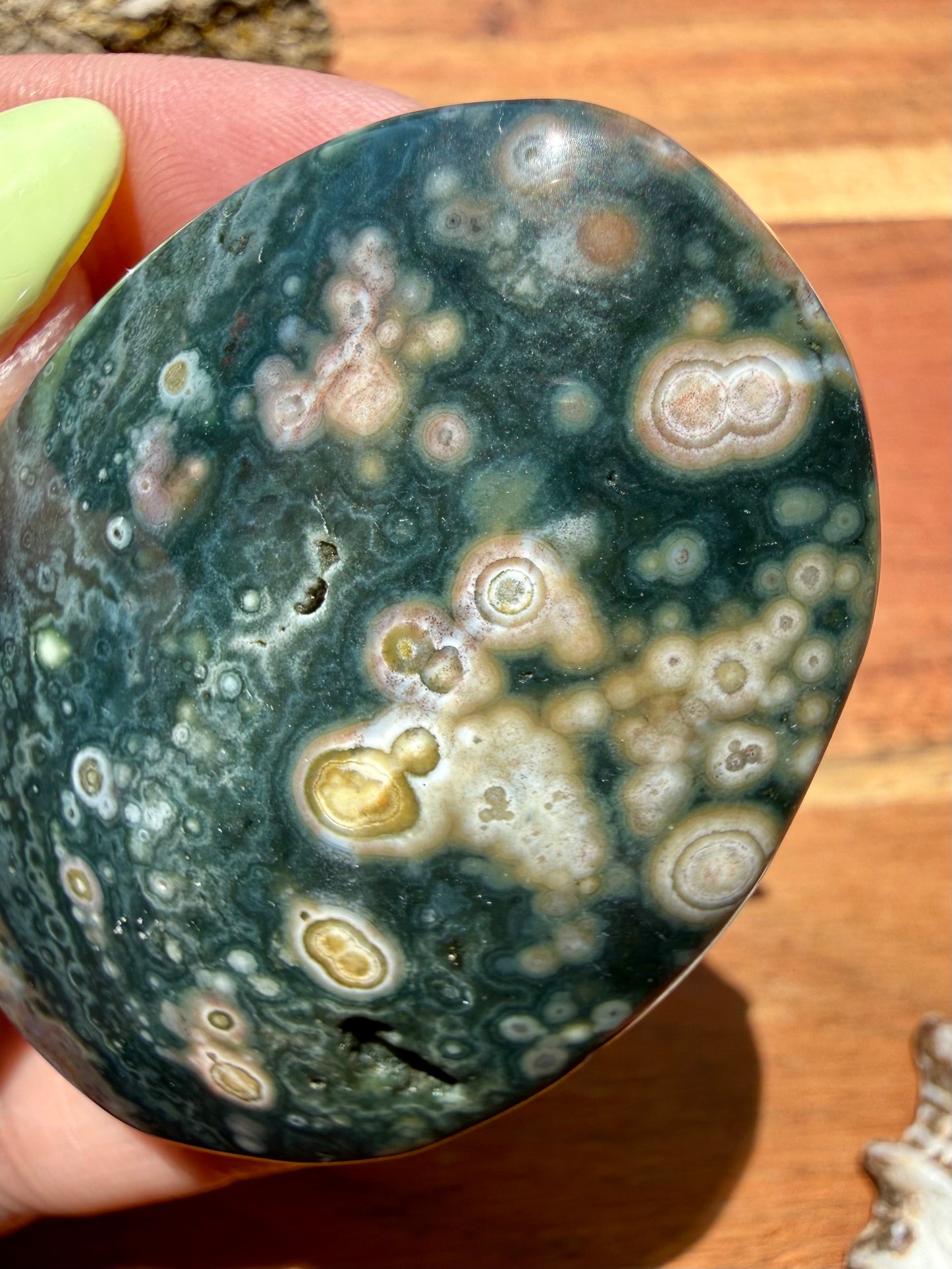 OLD STOCK OCEAN JASPER PALM STONE