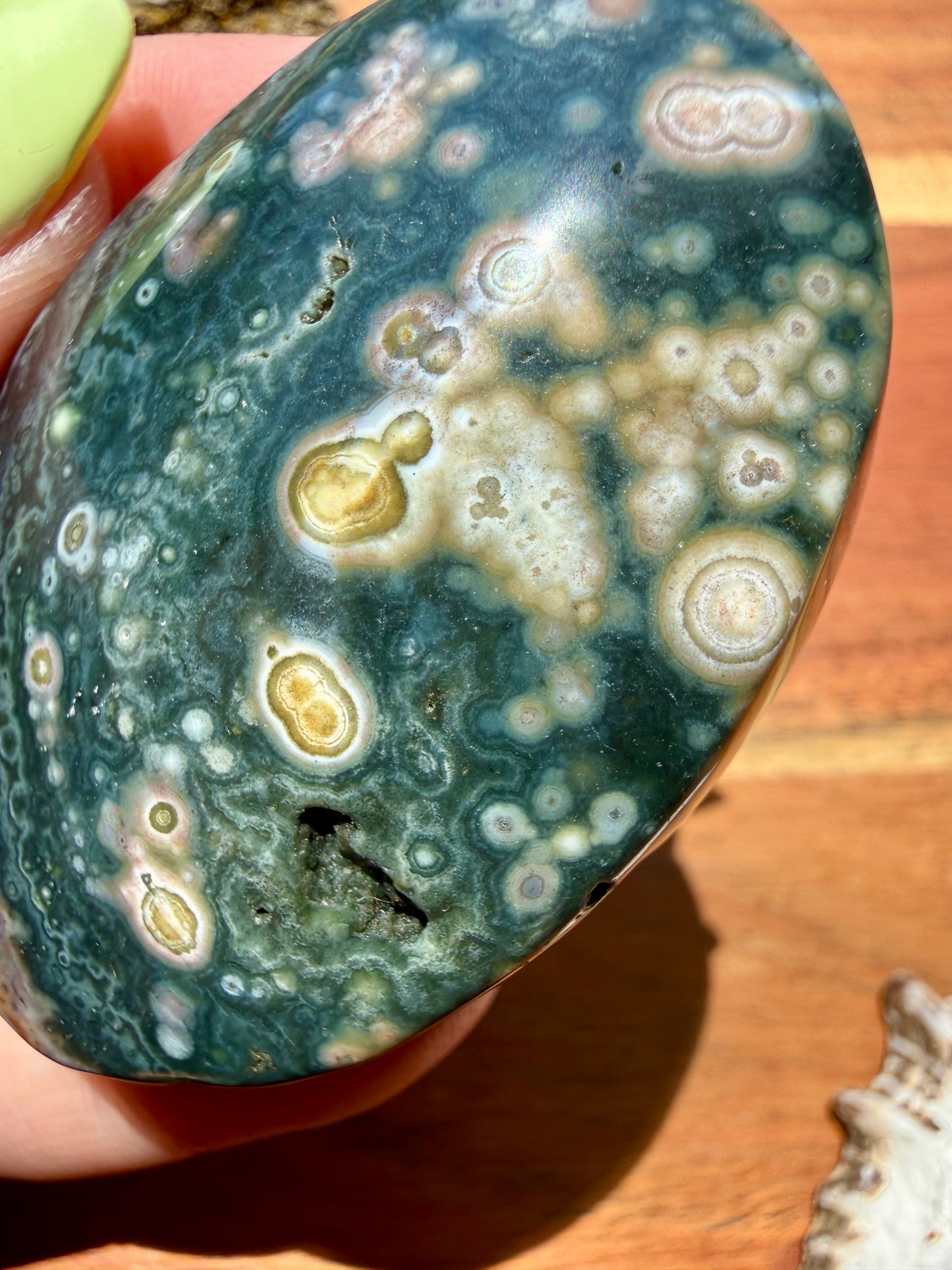 OLD STOCK OCEAN JASPER PALM STONE