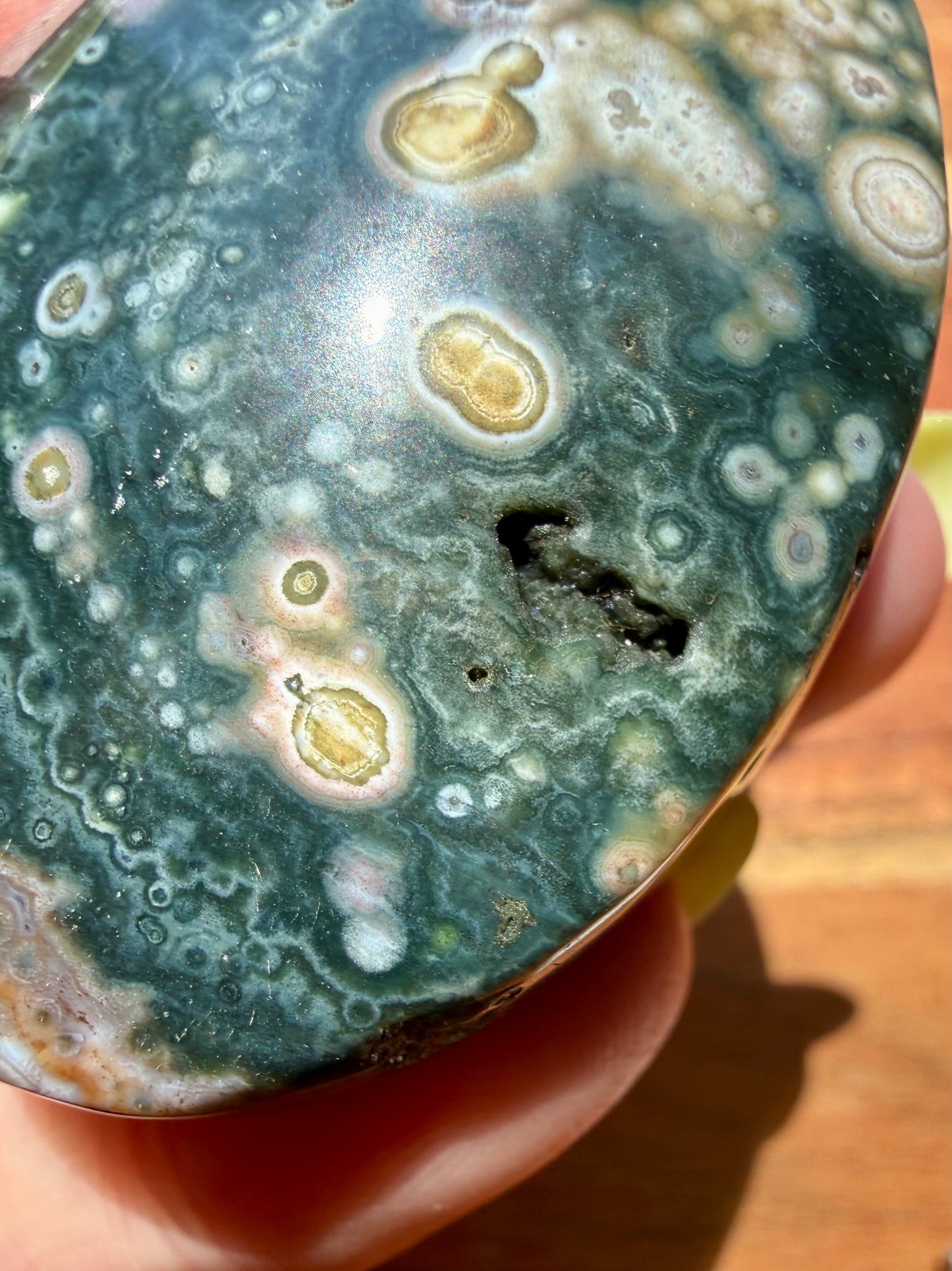 OLD STOCK OCEAN JASPER PALM STONE
