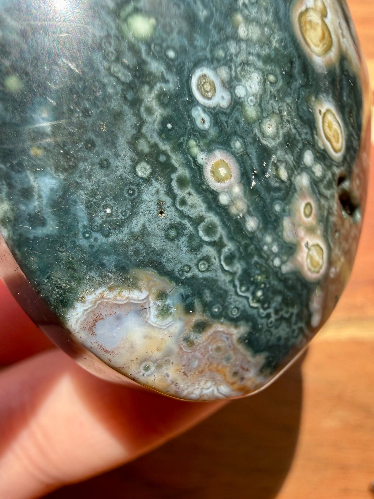 OLD STOCK OCEAN JASPER PALM STONE