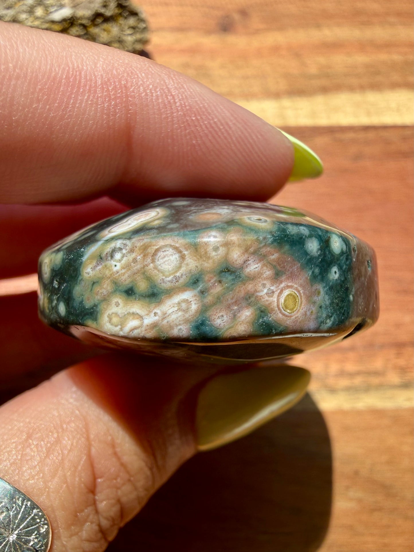 OLD STOCK OCEAN JASPER PALM STONE