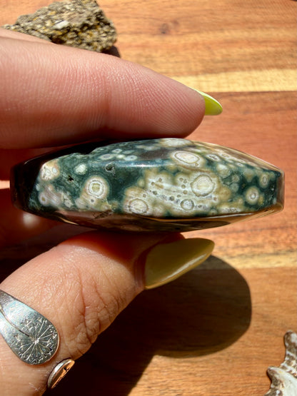 OLD STOCK OCEAN JASPER PALM STONE