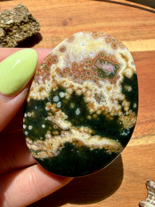 OLD STOCK OCEAN JASPER PALM STONE