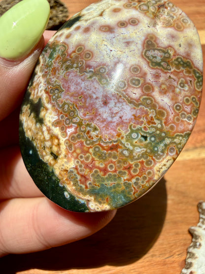 OLD STOCK OCEAN JASPER PALM STONE
