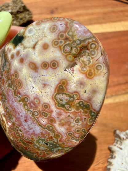 OLD STOCK OCEAN JASPER PALM STONE
