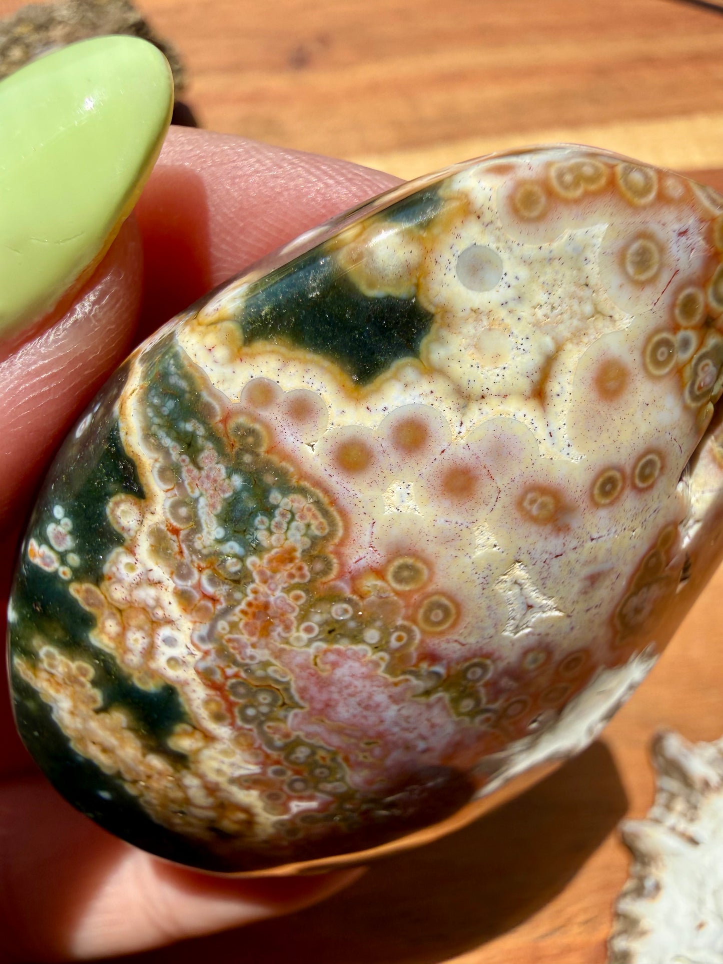 OLD STOCK OCEAN JASPER PALM STONE
