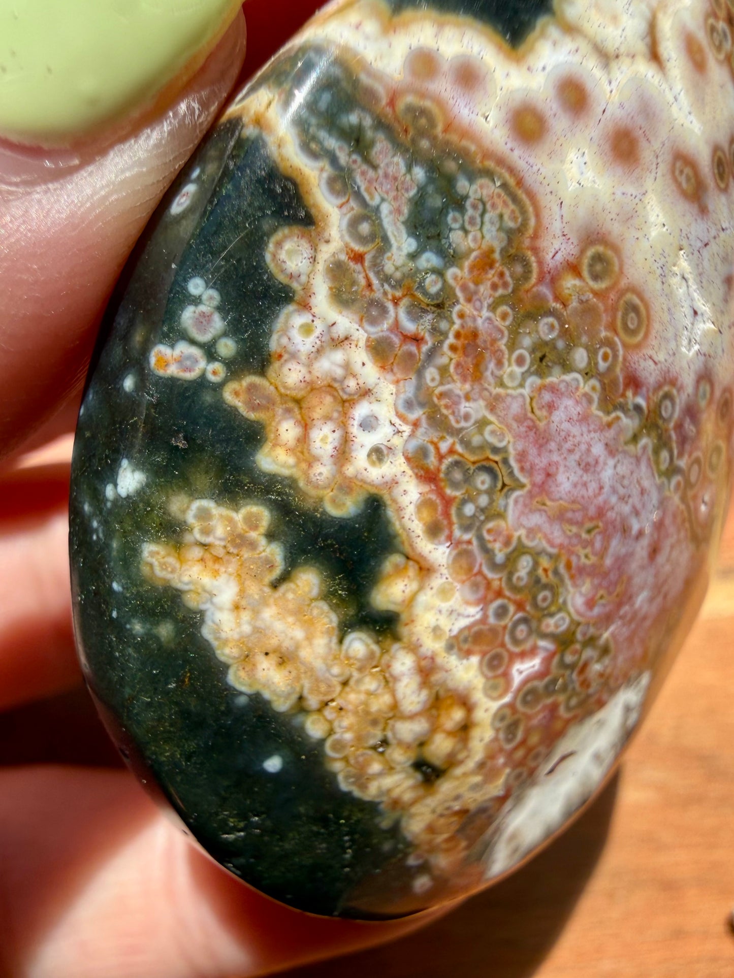 OLD STOCK OCEAN JASPER PALM STONE