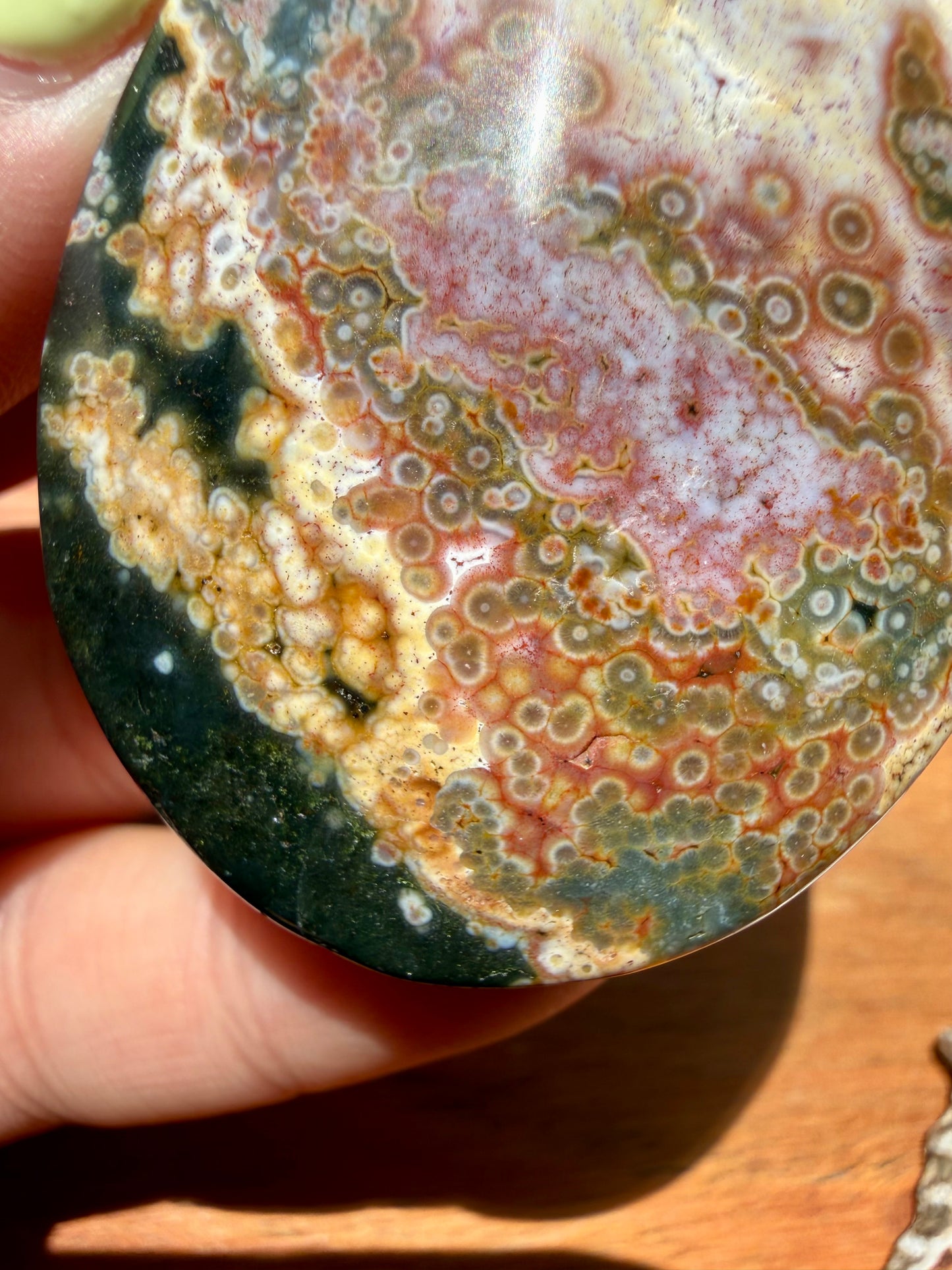 OLD STOCK OCEAN JASPER PALM STONE