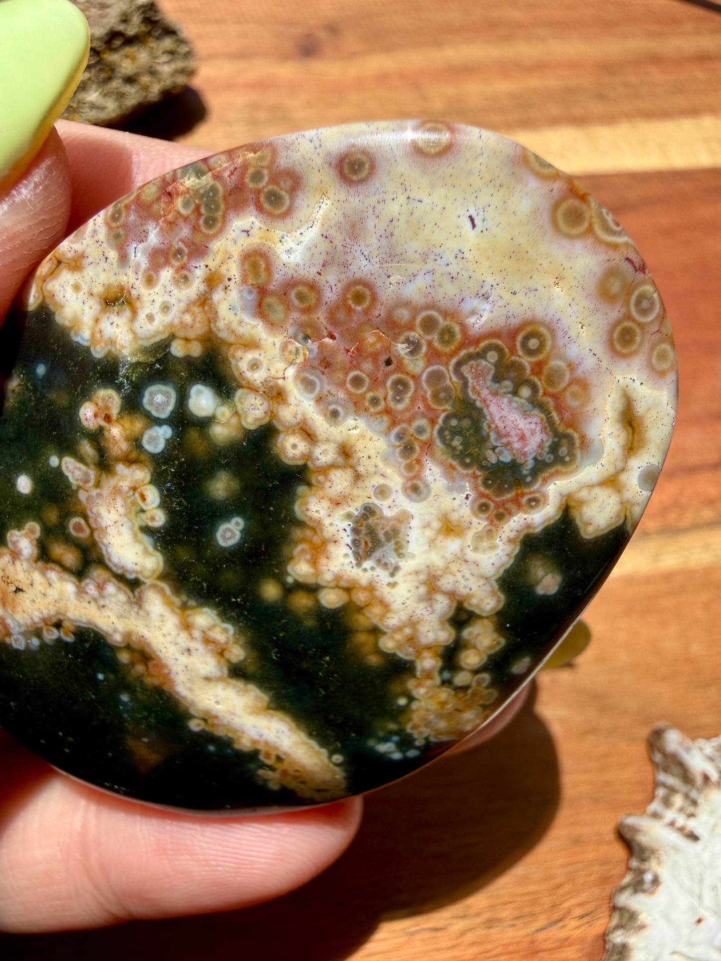 OLD STOCK OCEAN JASPER PALM STONE
