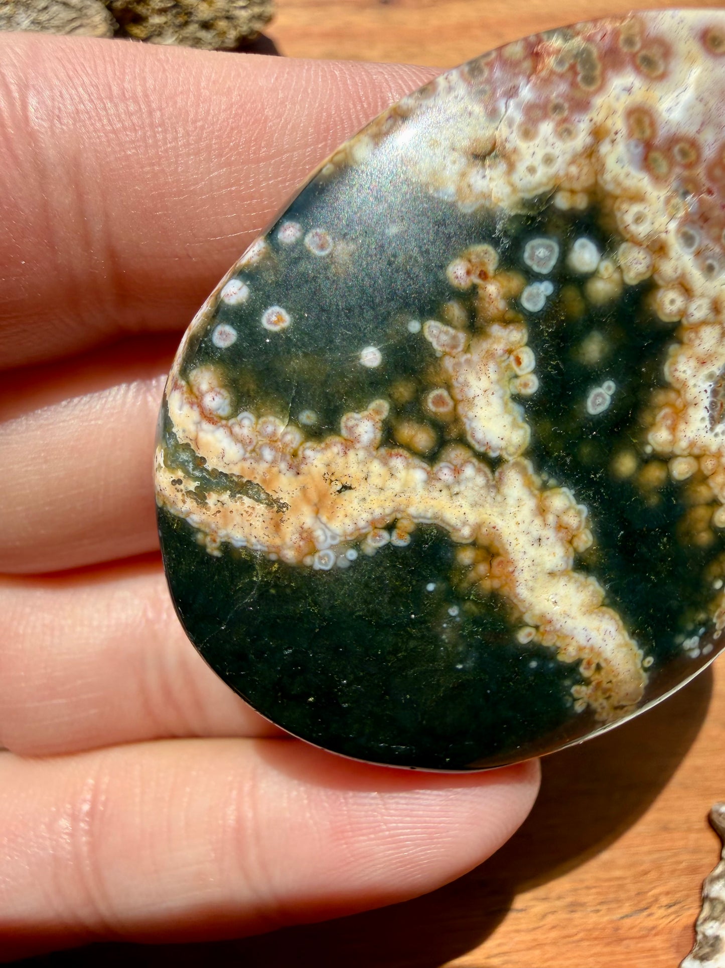 OLD STOCK OCEAN JASPER PALM STONE