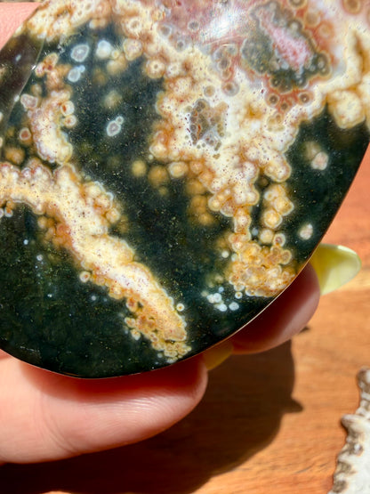 OLD STOCK OCEAN JASPER PALM STONE