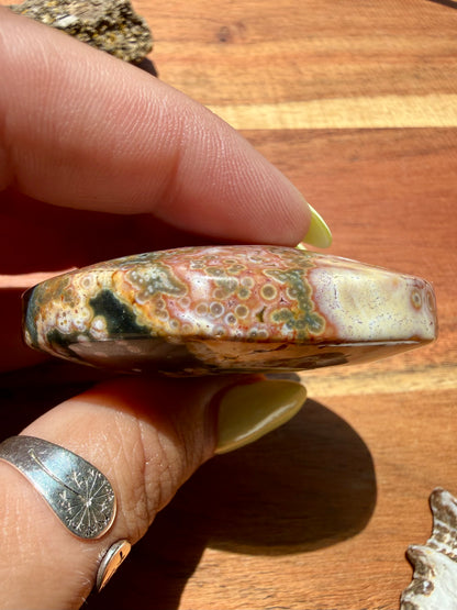 OLD STOCK OCEAN JASPER PALM STONE