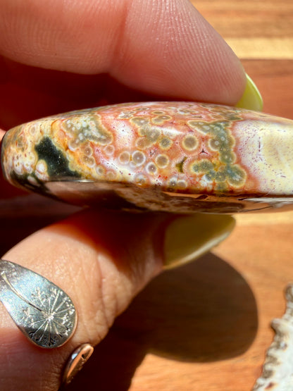 OLD STOCK OCEAN JASPER PALM STONE