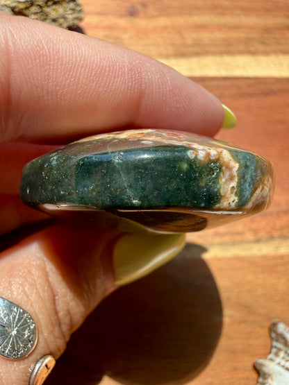 OLD STOCK OCEAN JASPER PALM STONE