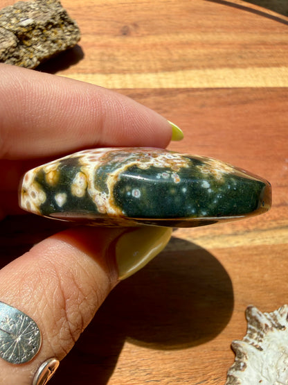 OLD STOCK OCEAN JASPER PALM STONE