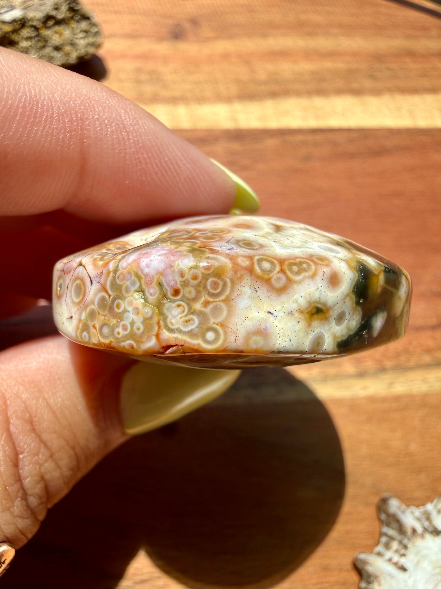 OLD STOCK OCEAN JASPER PALM STONE