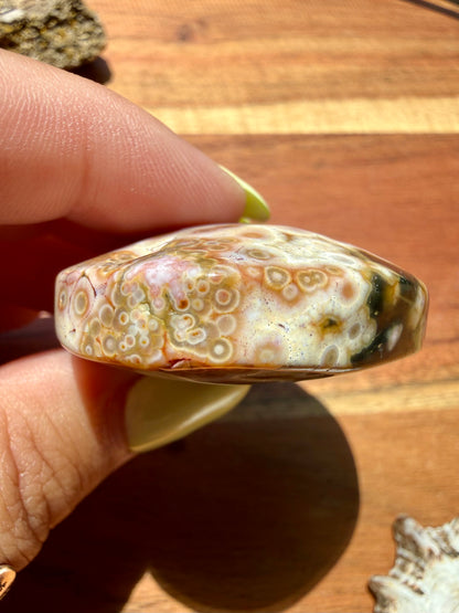 OLD STOCK OCEAN JASPER PALM STONE