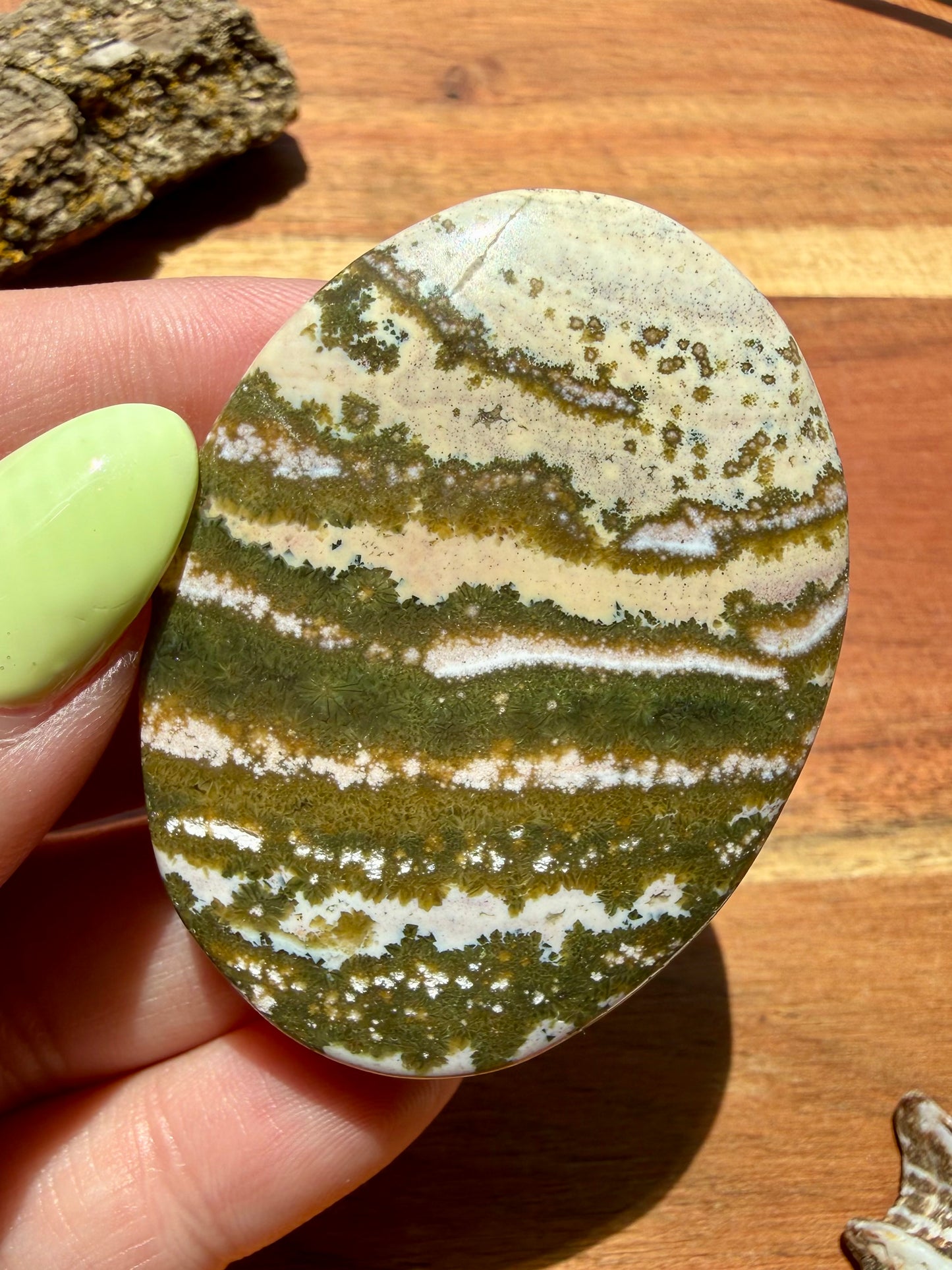 OLD STOCK OCEAN JASPER PALM STONE