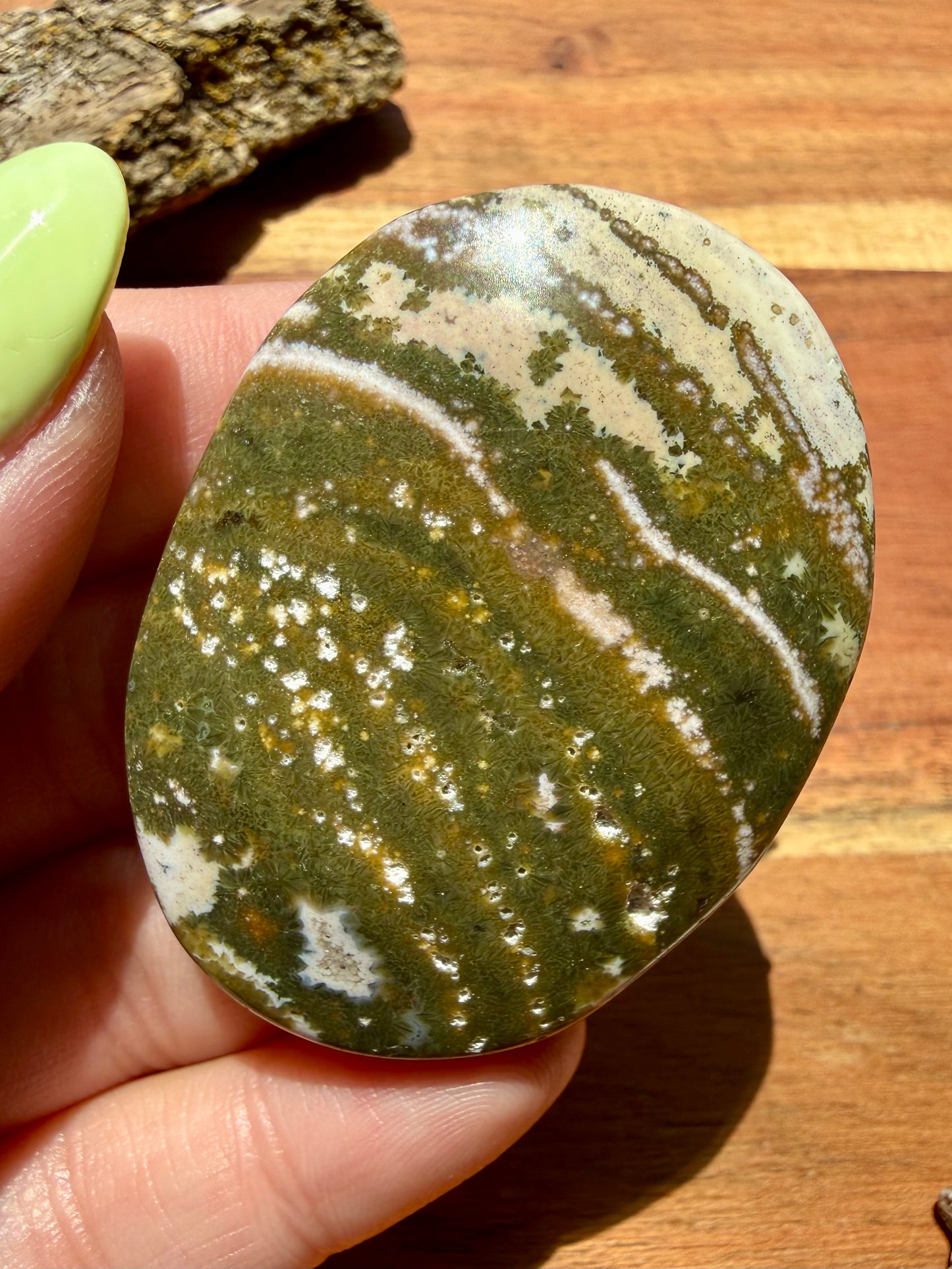OLD STOCK OCEAN JASPER PALM STONE