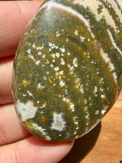 OLD STOCK OCEAN JASPER PALM STONE