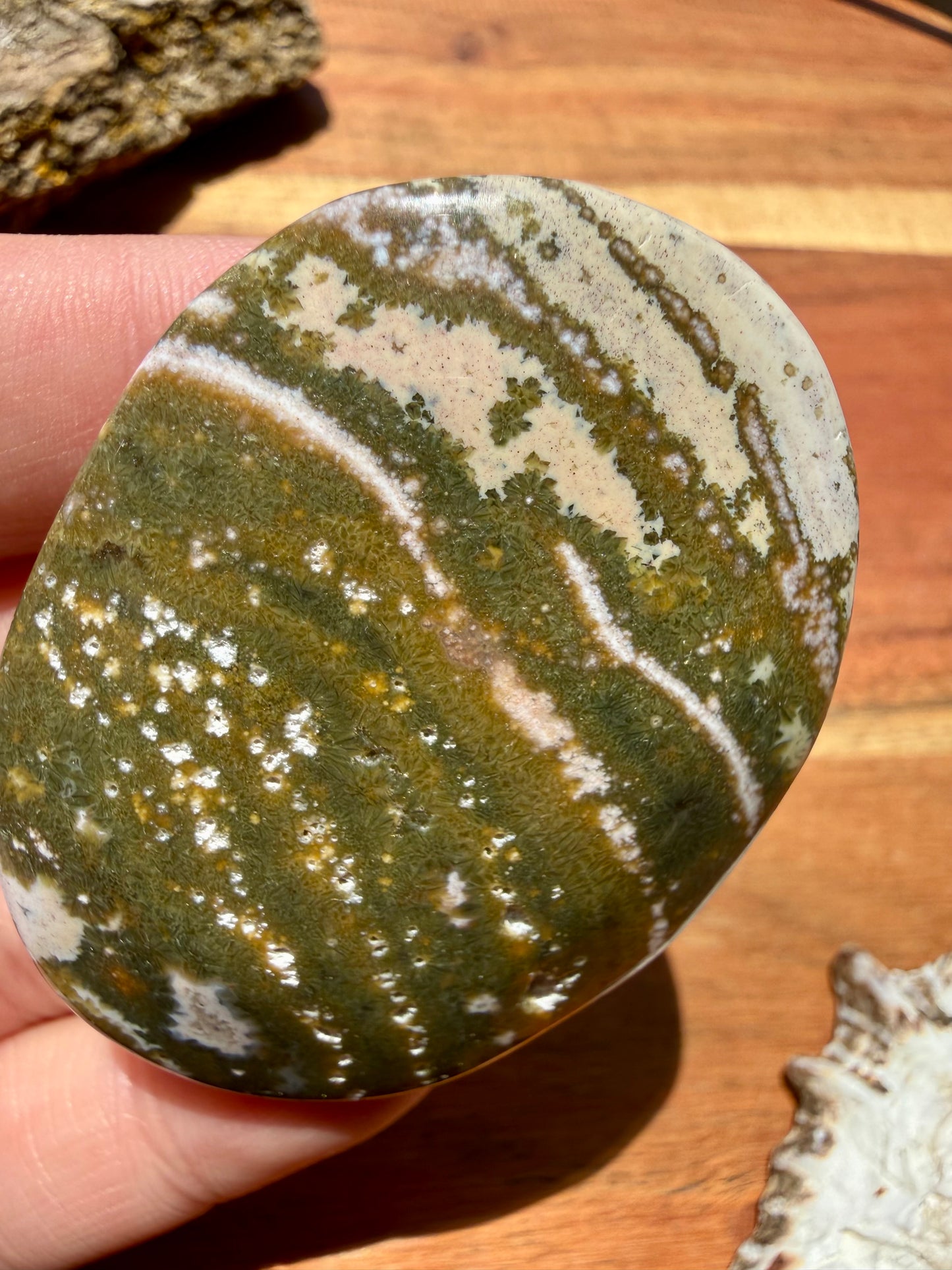 OLD STOCK OCEAN JASPER PALM STONE