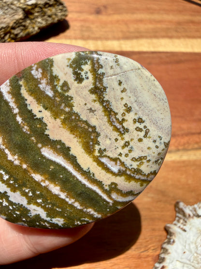 OLD STOCK OCEAN JASPER PALM STONE