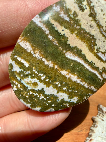 OLD STOCK OCEAN JASPER PALM STONE