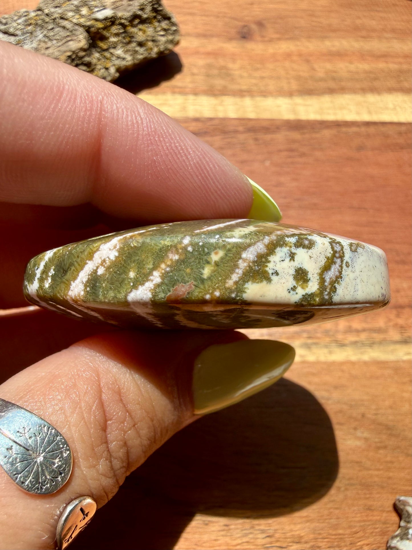 OLD STOCK OCEAN JASPER PALM STONE