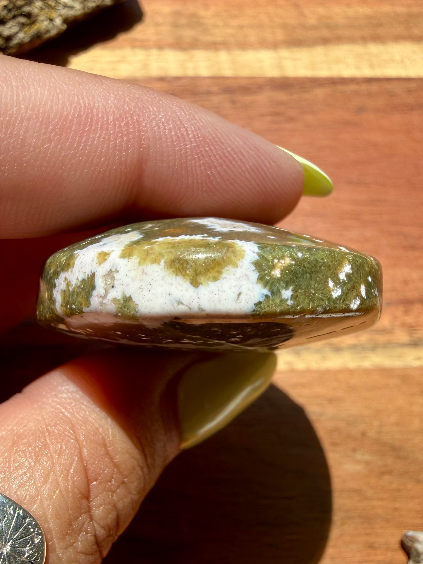 OLD STOCK OCEAN JASPER PALM STONE