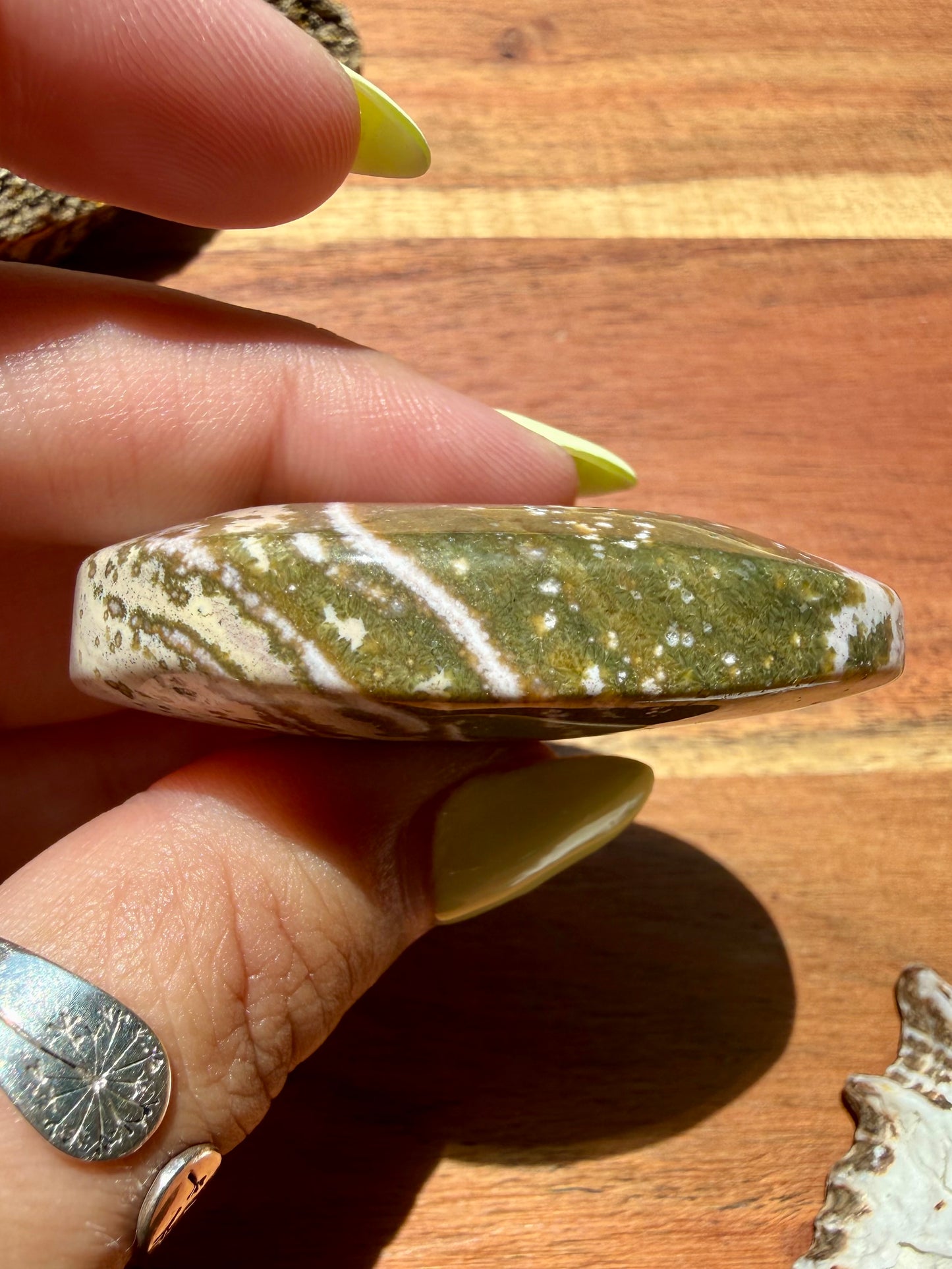 OLD STOCK OCEAN JASPER PALM STONE