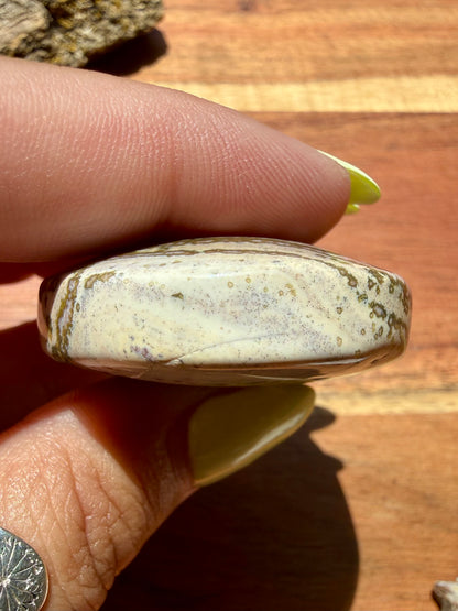 OLD STOCK OCEAN JASPER PALM STONE