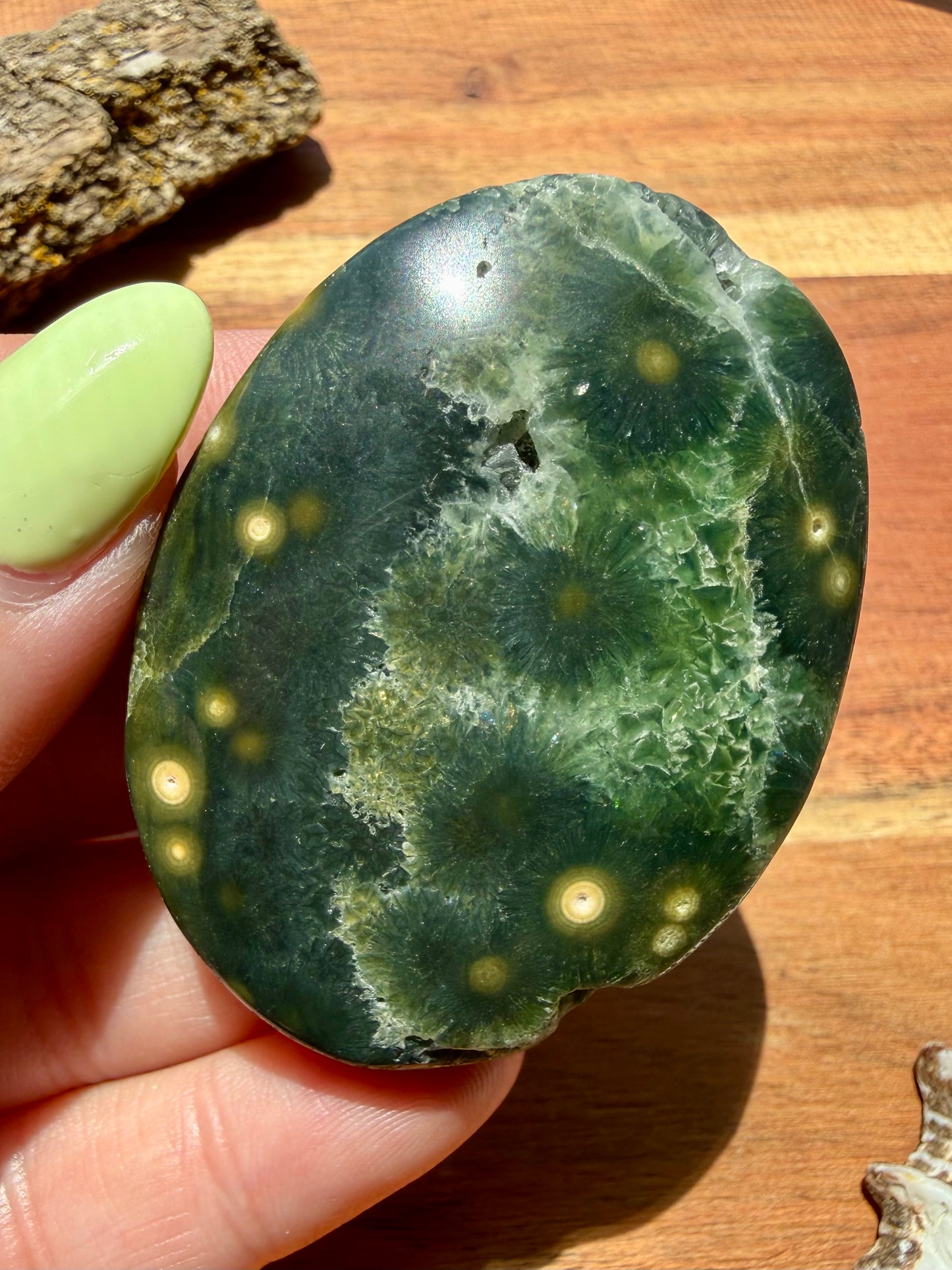 OLD STOCK OCEAN JASPER PALM STONE