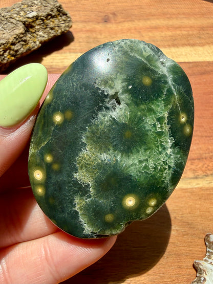 OLD STOCK OCEAN JASPER PALM STONE