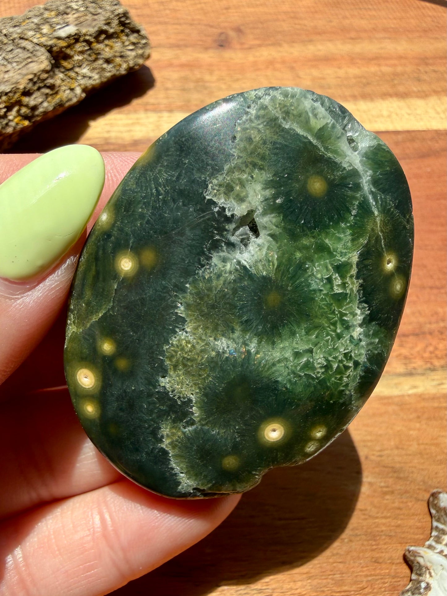 OLD STOCK OCEAN JASPER PALM STONE