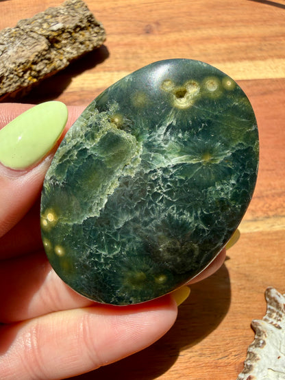 OLD STOCK OCEAN JASPER PALM STONE