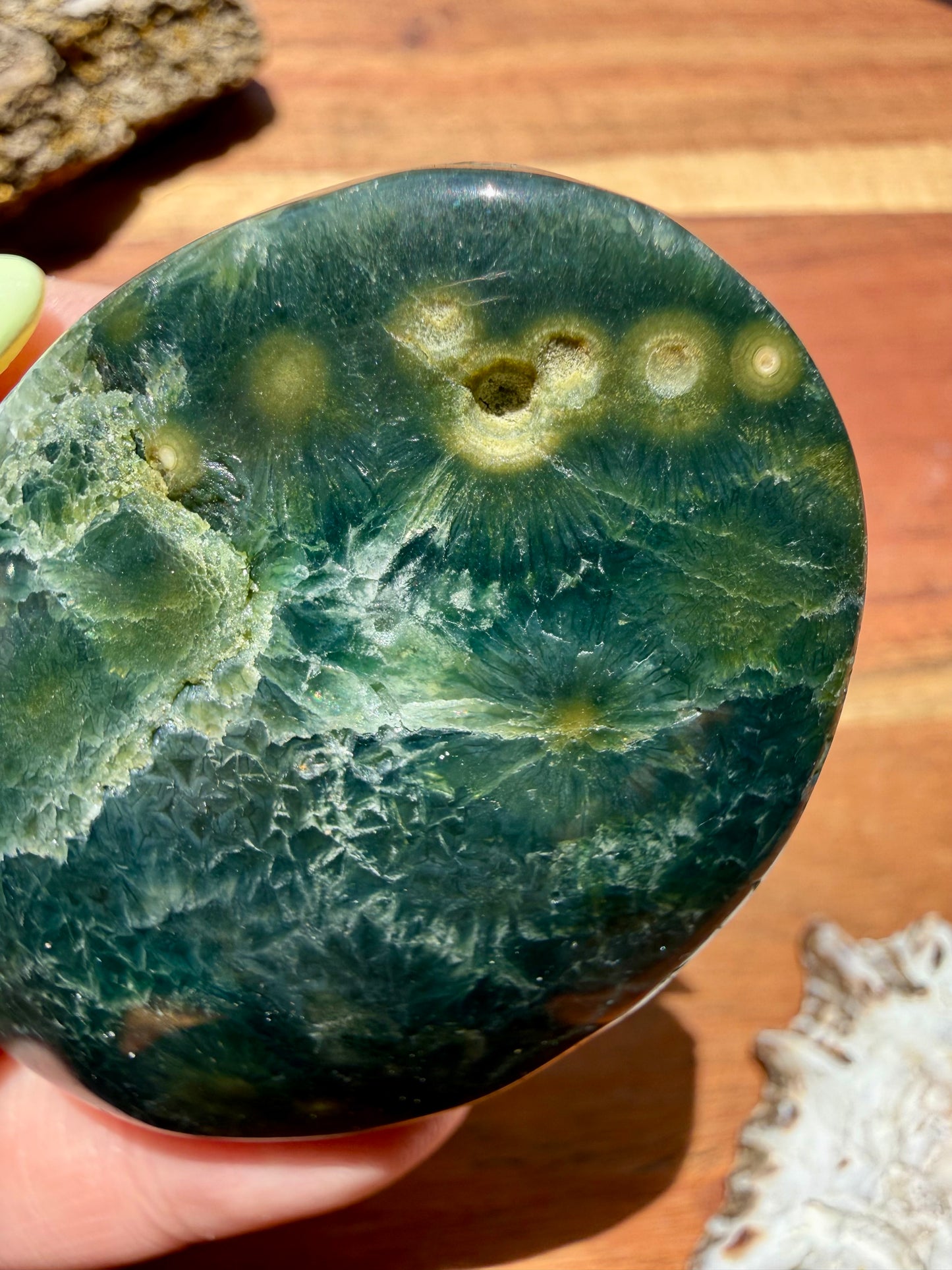 OLD STOCK OCEAN JASPER PALM STONE