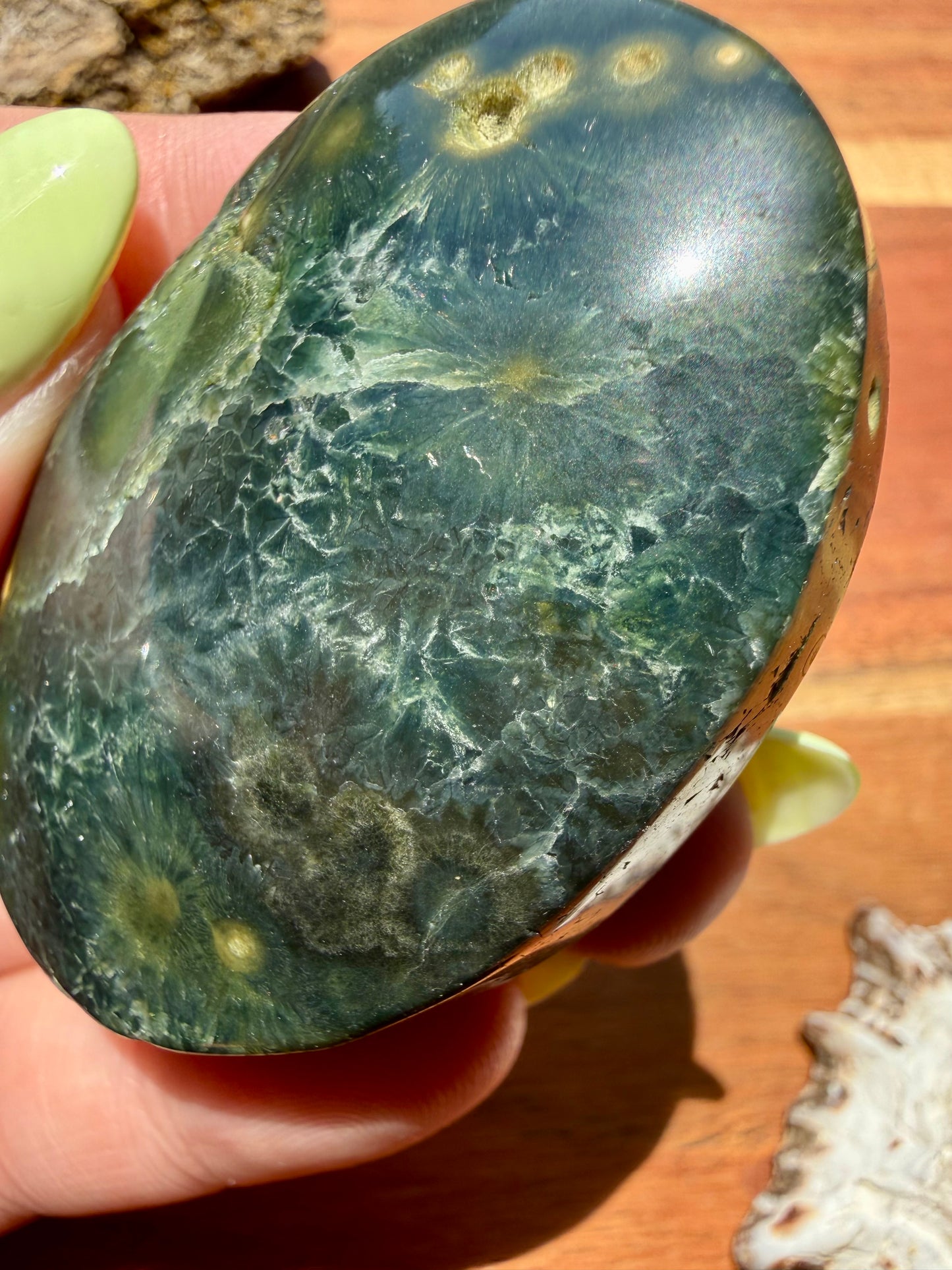 OLD STOCK OCEAN JASPER PALM STONE
