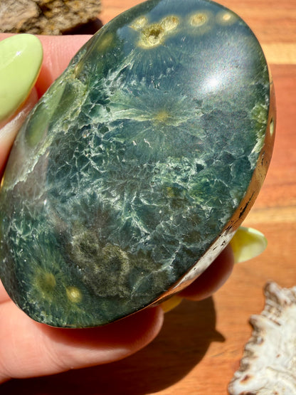 OLD STOCK OCEAN JASPER PALM STONE