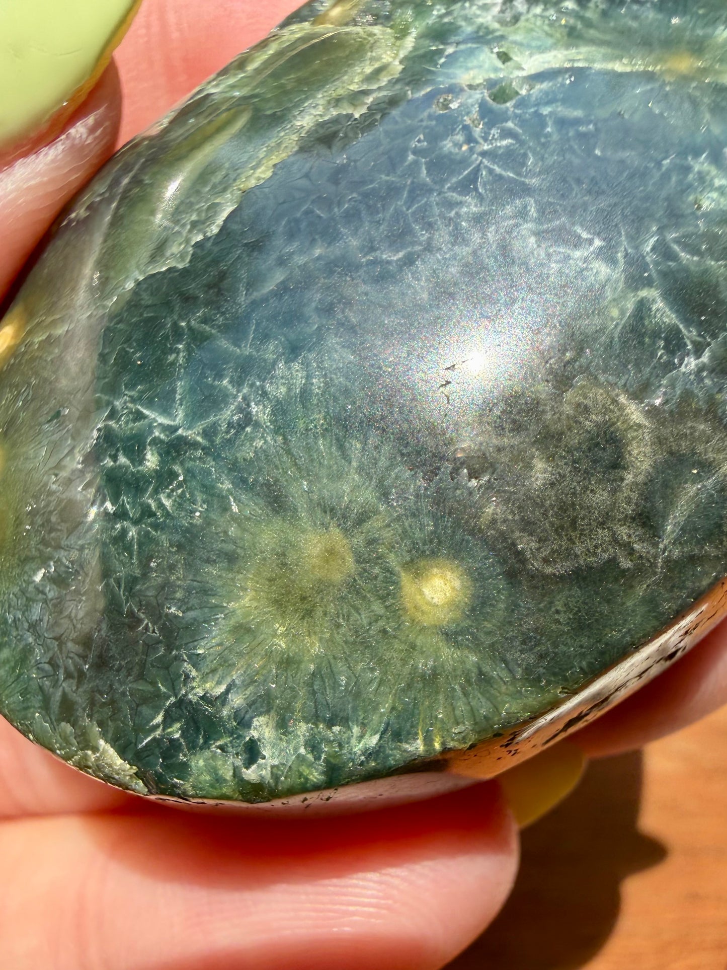 OLD STOCK OCEAN JASPER PALM STONE