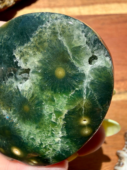 OLD STOCK OCEAN JASPER PALM STONE