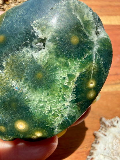 OLD STOCK OCEAN JASPER PALM STONE