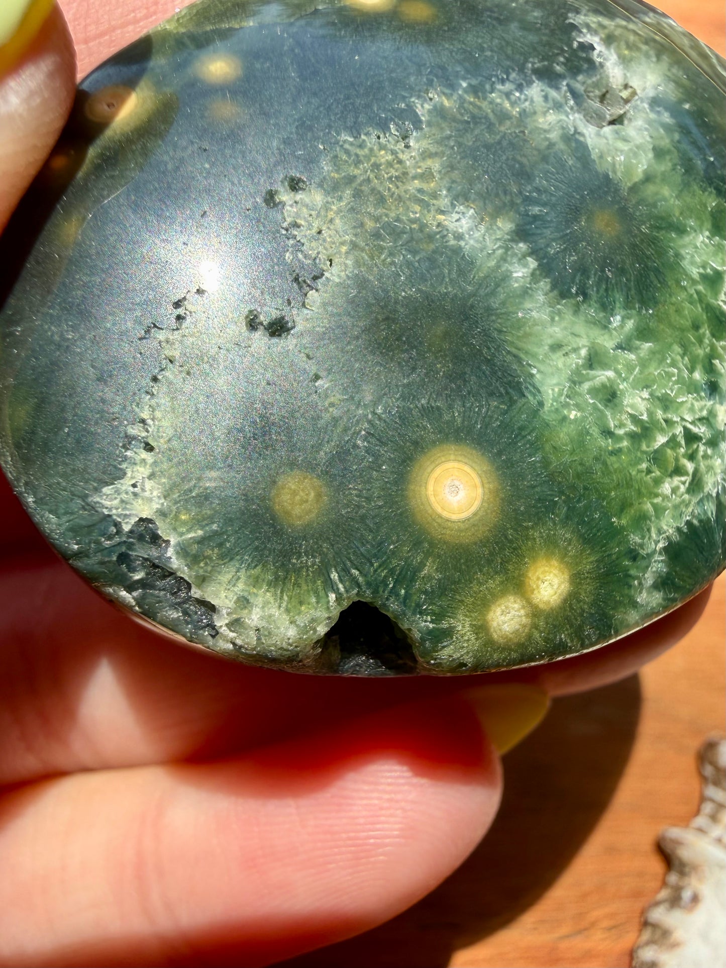OLD STOCK OCEAN JASPER PALM STONE