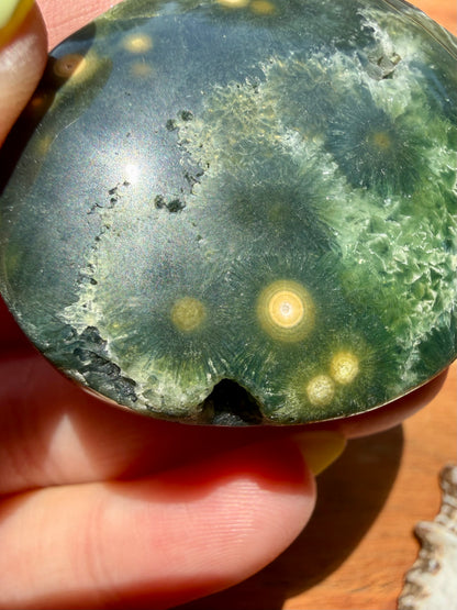 OLD STOCK OCEAN JASPER PALM STONE