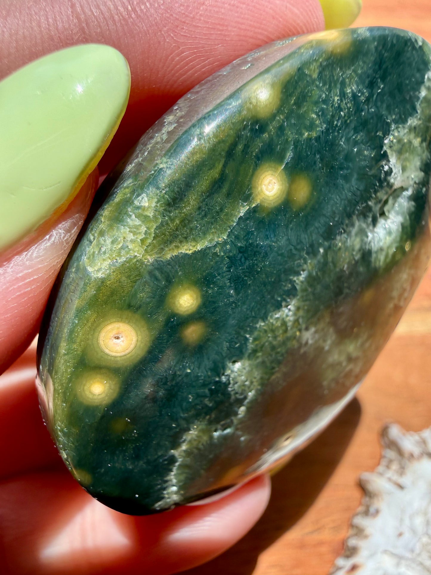 OLD STOCK OCEAN JASPER PALM STONE