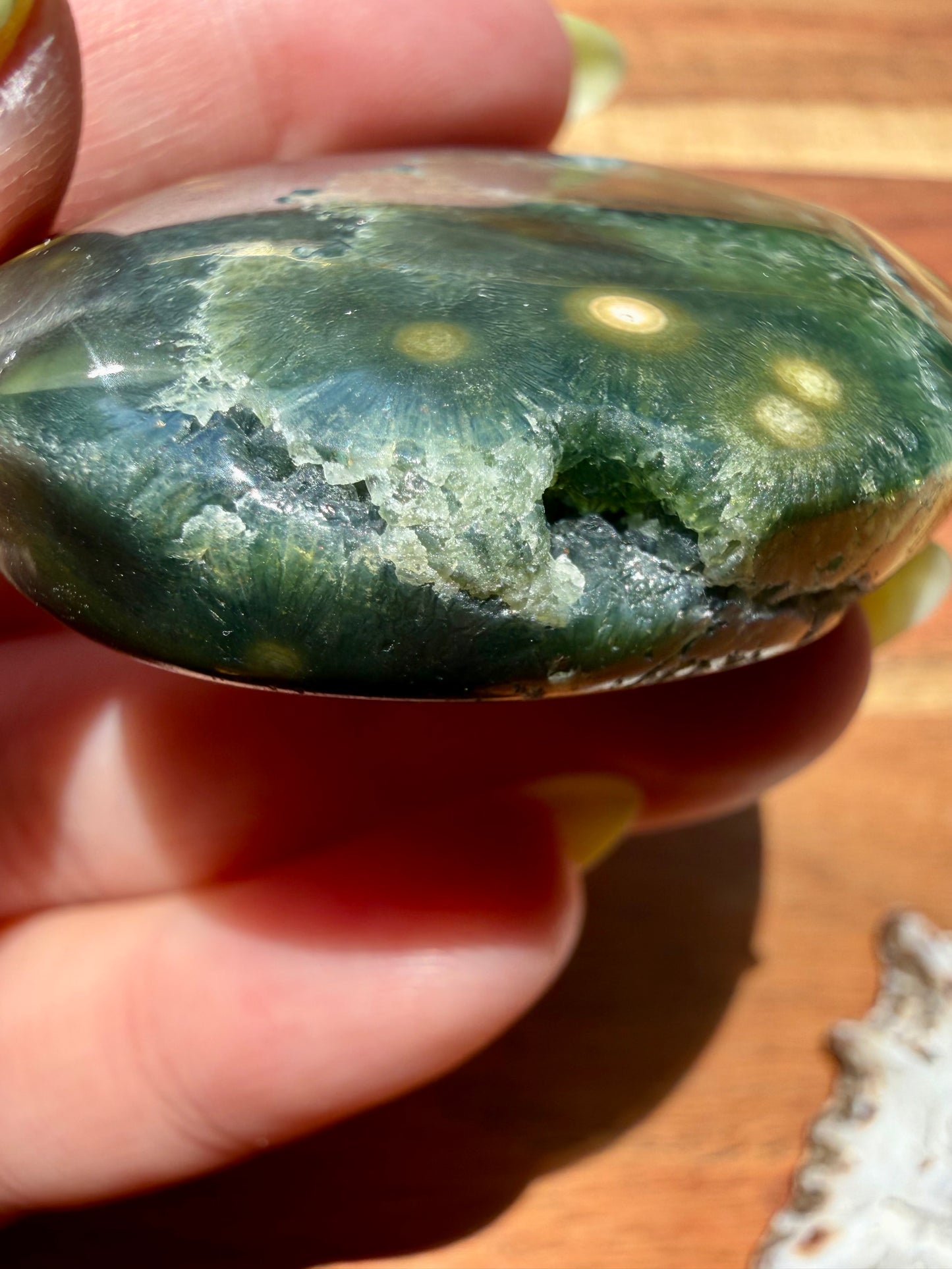 OLD STOCK OCEAN JASPER PALM STONE